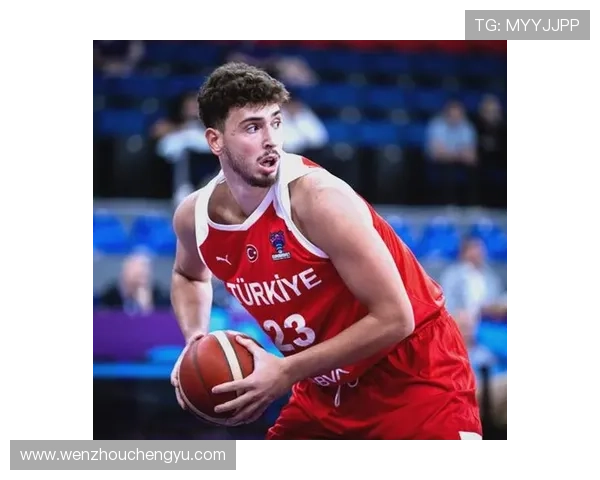 阿里纳斯点评火箭阵容豪华 申京可担任中锋成关键因素